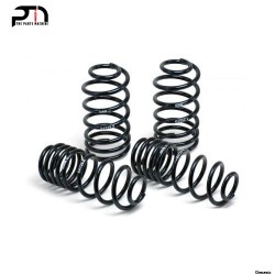 Sport Springs by H&R for Lexus IS250 